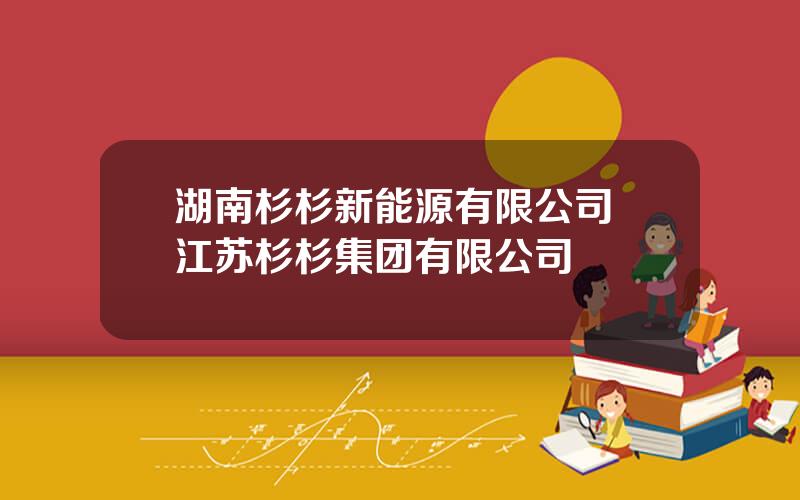 湖南杉杉新能源有限公司 江苏杉杉集团有限公司